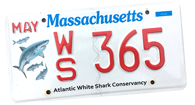 Whiteshark Plate Logo